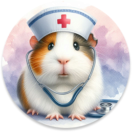 Изображение со свинкой