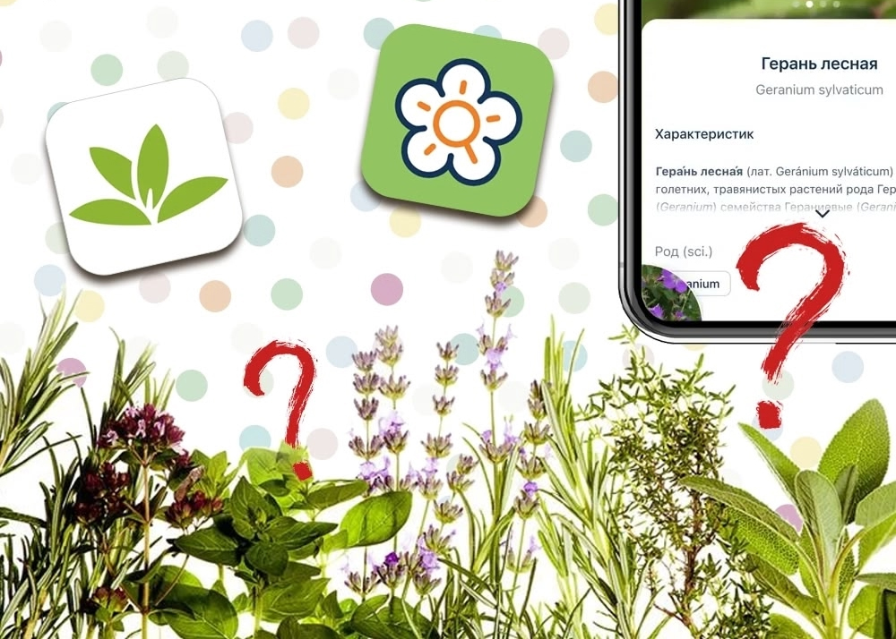 Обложка статьи