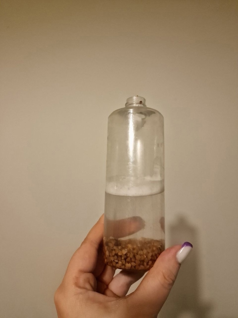 моем поилку для морской свинки