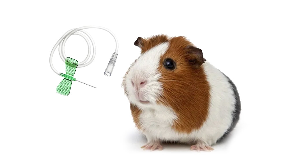 Обложка статьи