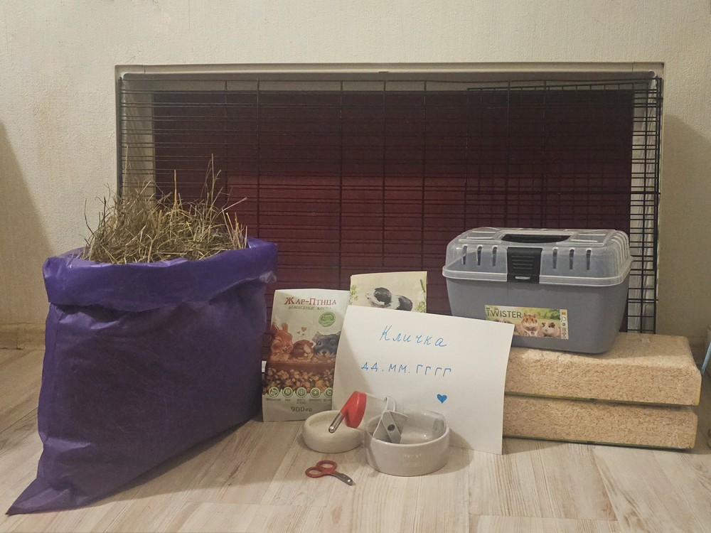 Фотография с вещами, которые нужно купить для морской свинки