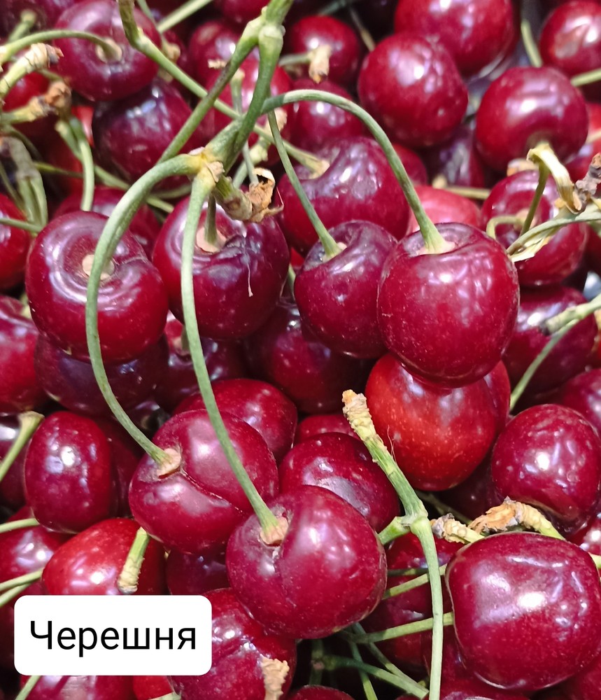 Спелая черешня
