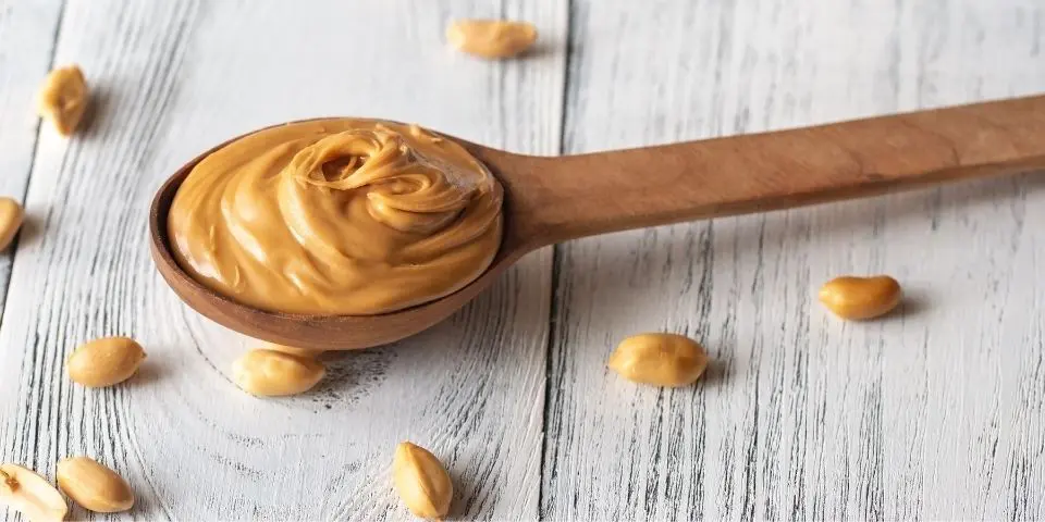 морским свинкам нельзя предлагать арахисовое масло