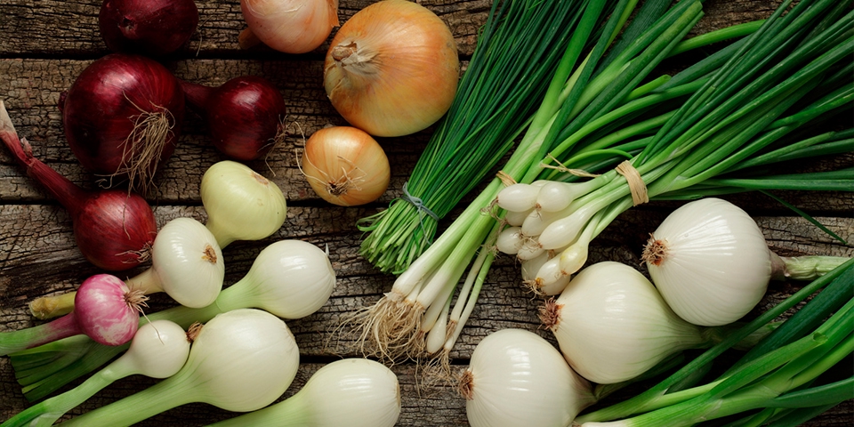 лук и чеснок токсичны для морских свинок