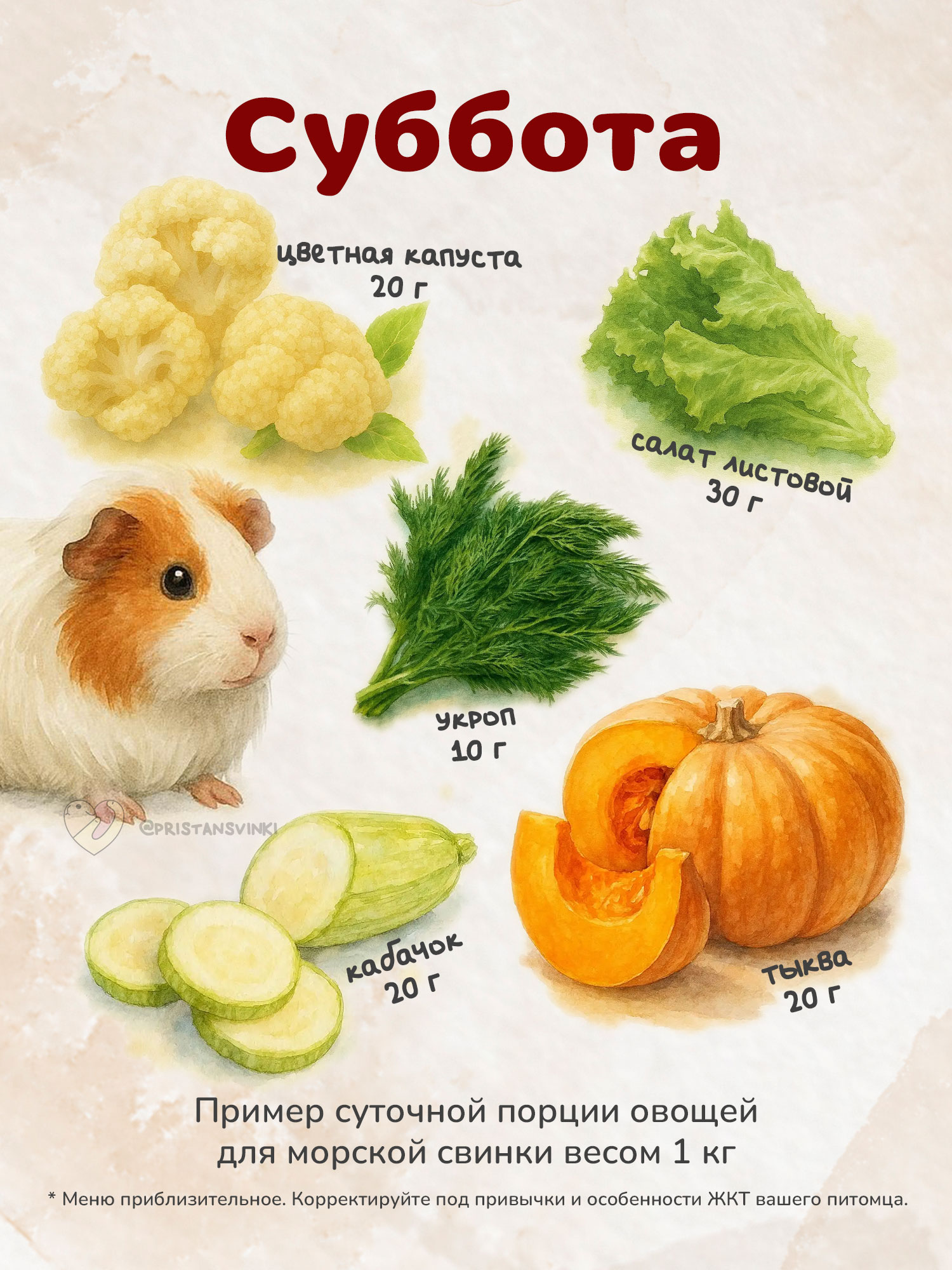 Примерный план питания сочными продуктами для морской свинки на субботу: цветная капуста, тыква, кабачок, укроп, салат листовой