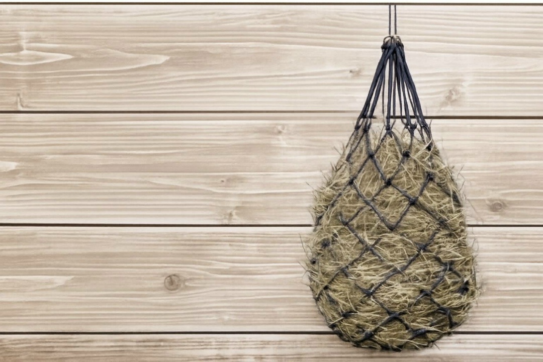 Сенник рептух для морской свинки с сеном