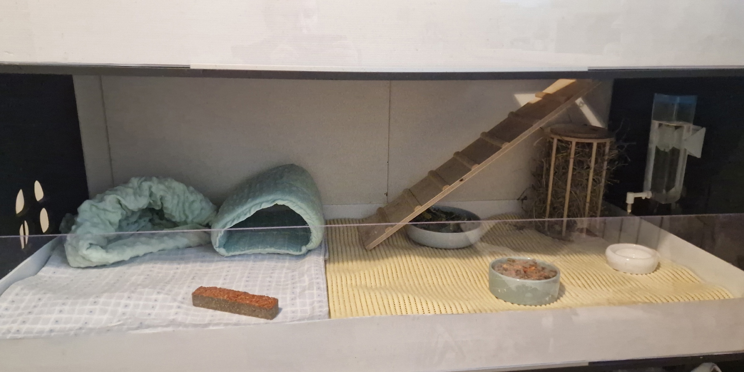 Обложка статьи