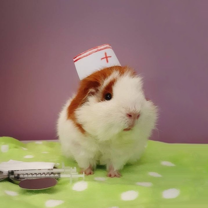 Обложка статьи