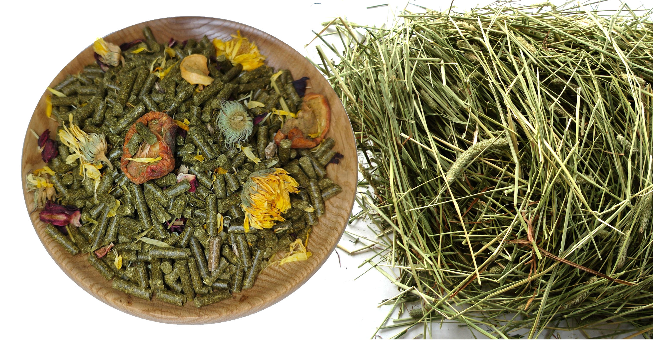 Питание морских свинок