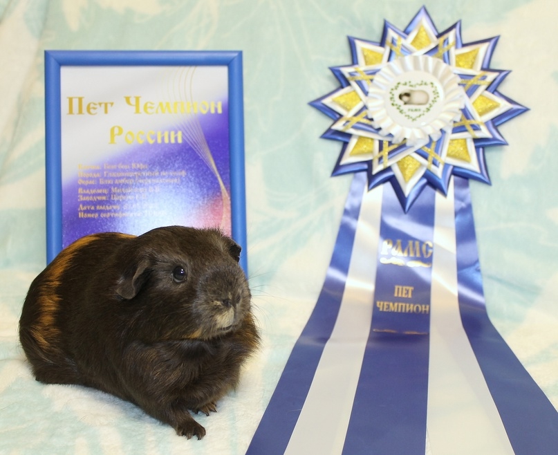 Обложка статьи