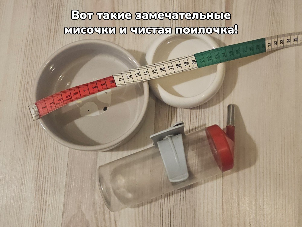 чистые поилка и миски