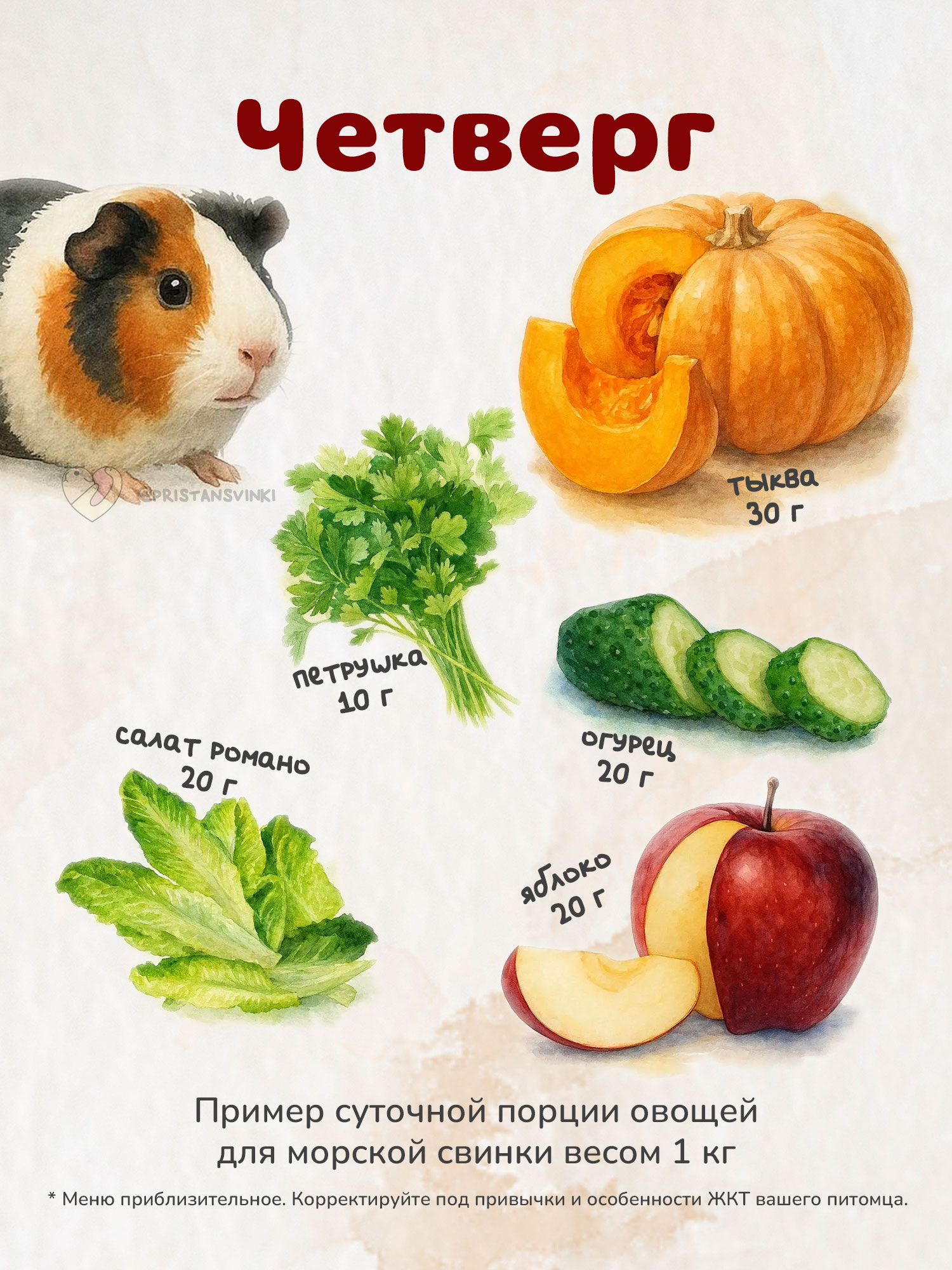 Примерный план питания сочными продуктами для морской свинки на четверг: тыква, огурец, яблоко, петрушка, салат романо