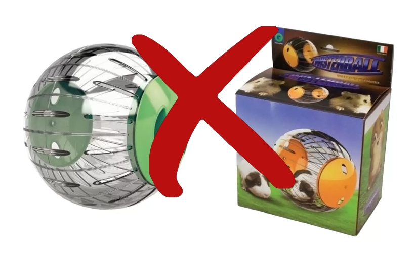 прогулочный шар для морской свинки опасен