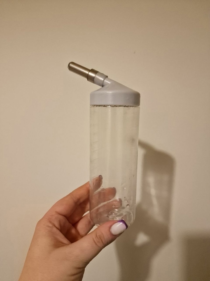 моем поилку для морской свинки