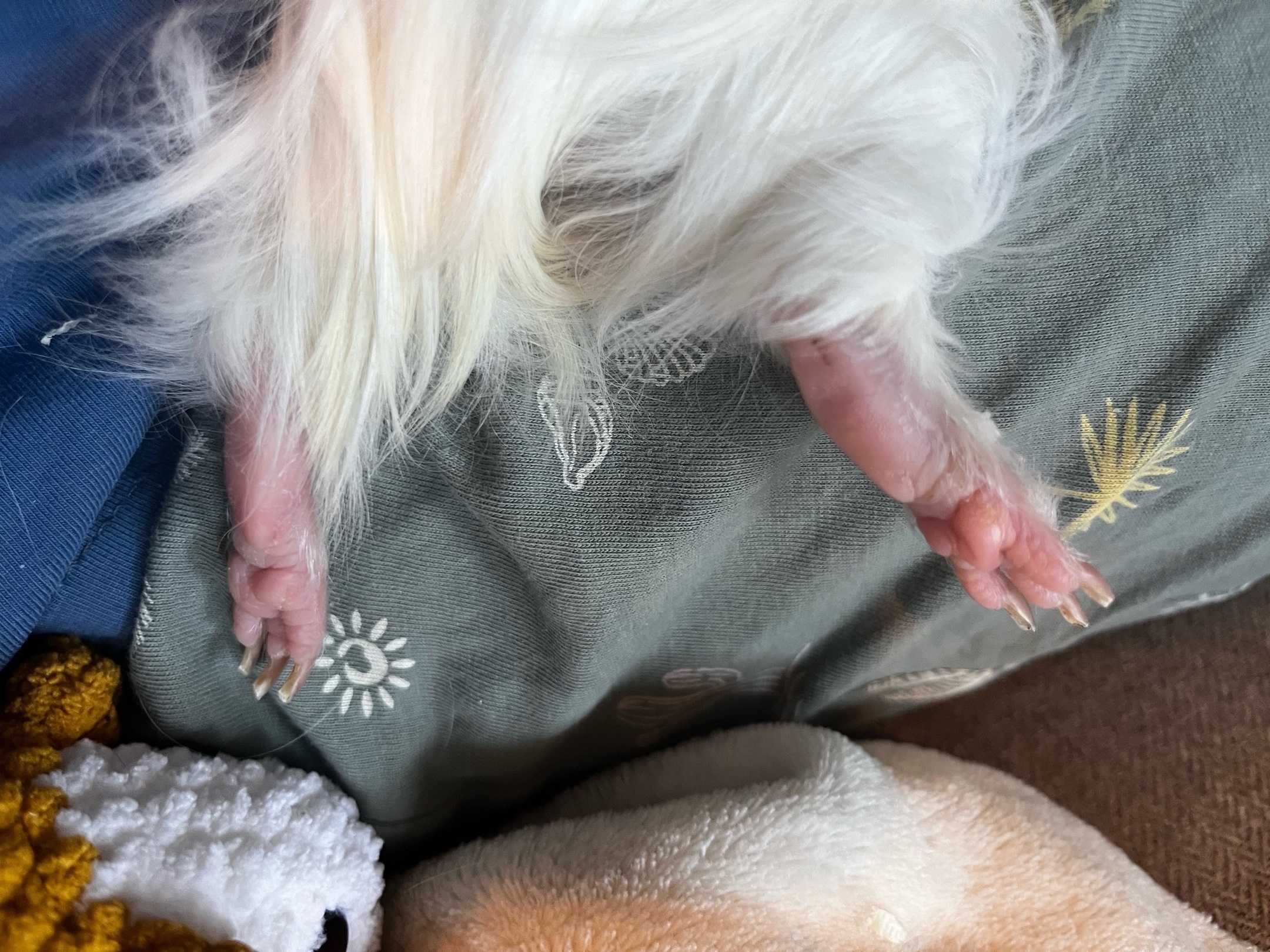 Обложка статьи