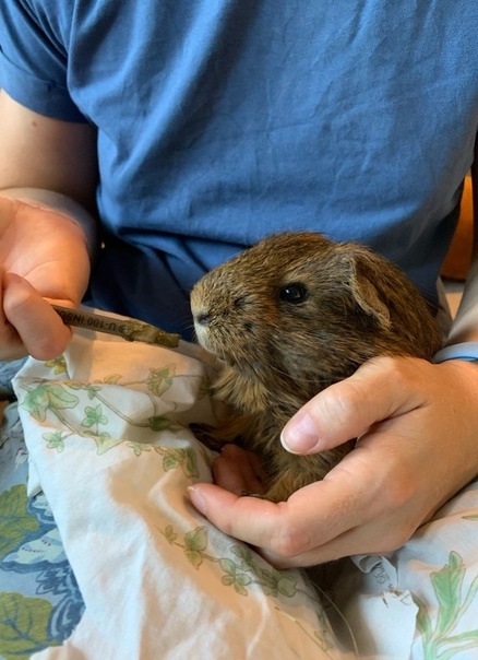 Обложка статьи