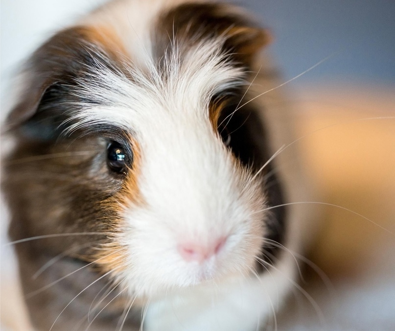 Обложка статьи