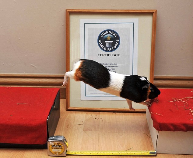 Обложка статьи