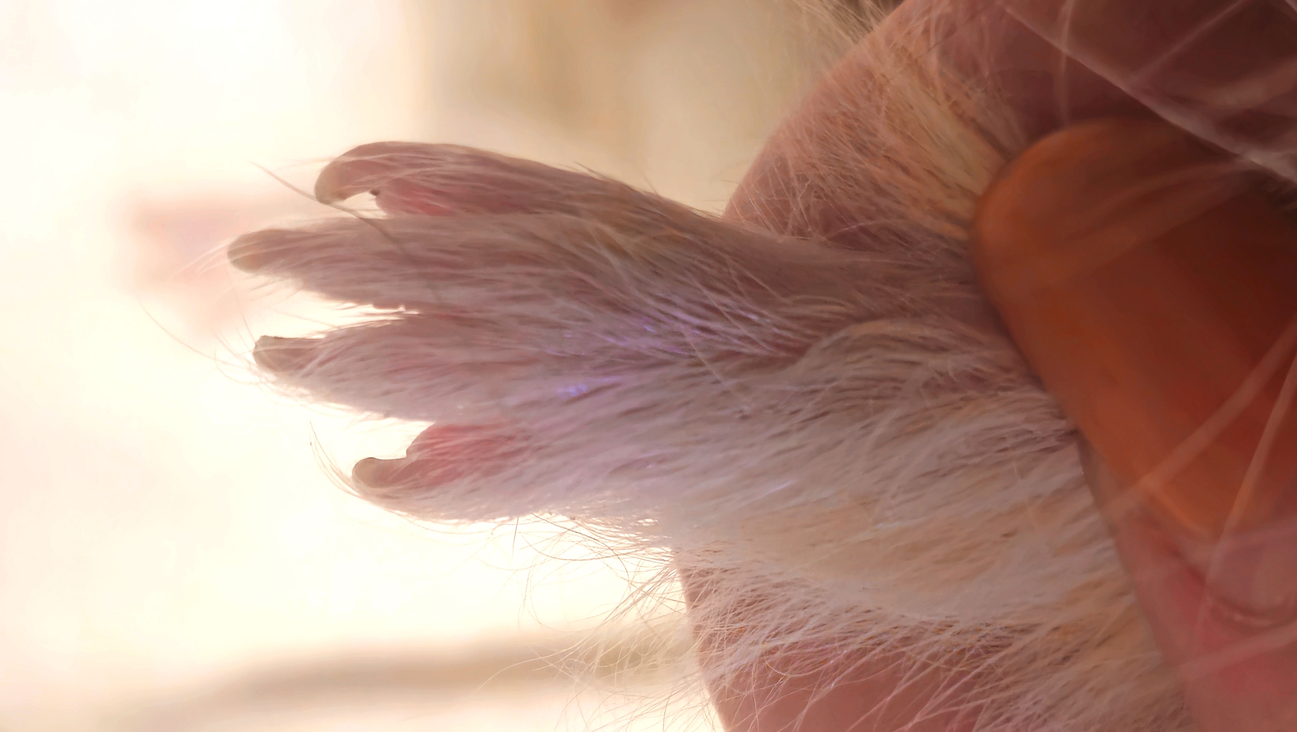 Обложка статьи