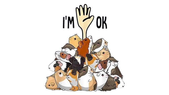 Обложка статьи