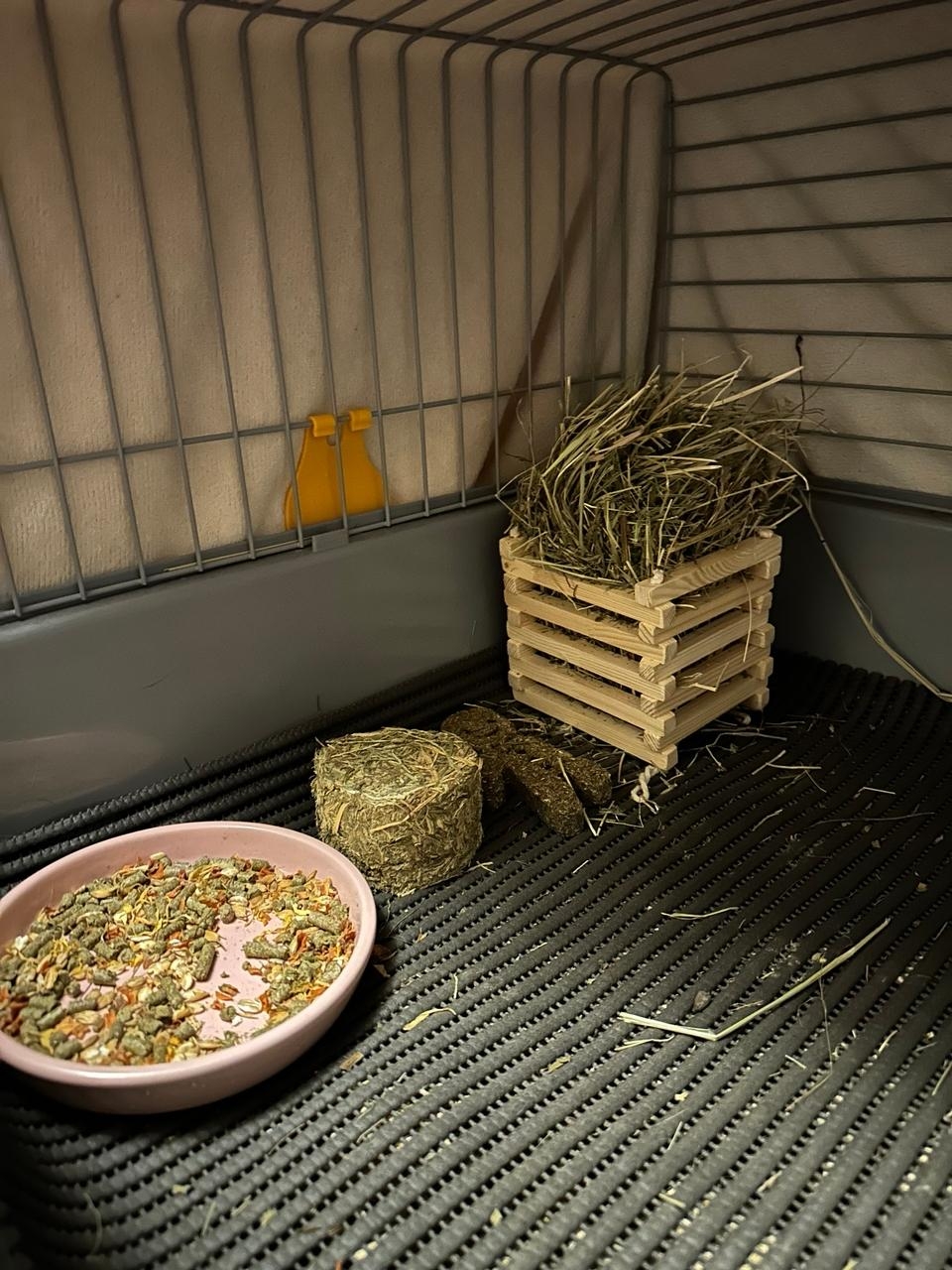 Квадратный деревянный вертикальный сенник в клетке для морской свинки с ковриками ПВХ рядом лежит таблерон сена и стоит миска с кормом