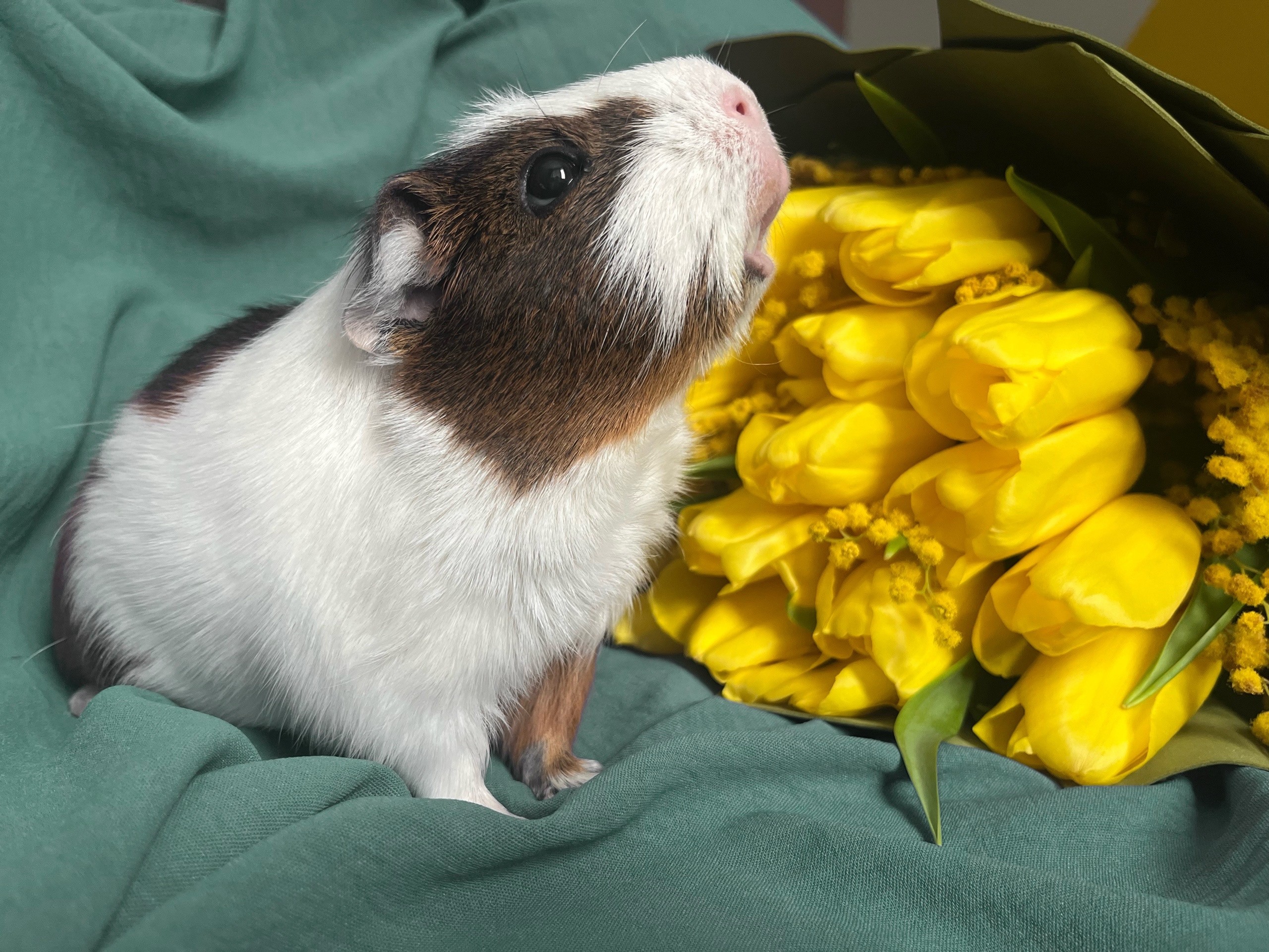 Обложка статьи