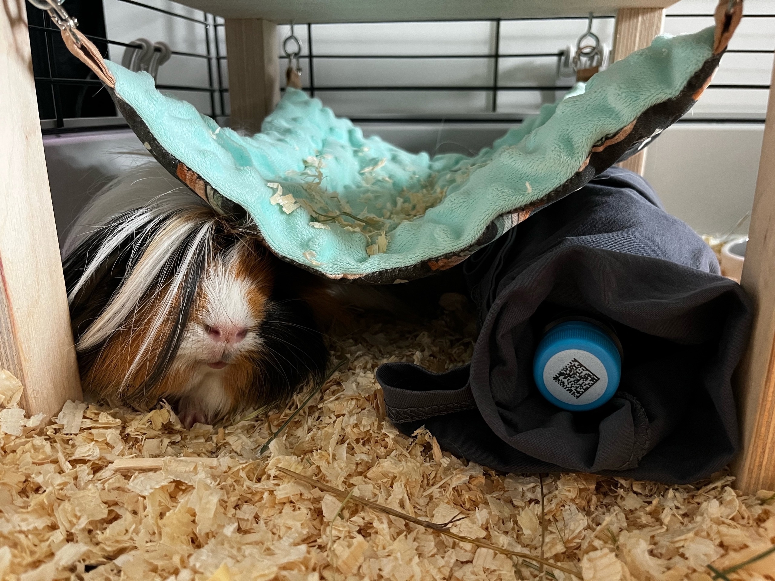 Обложка статьи