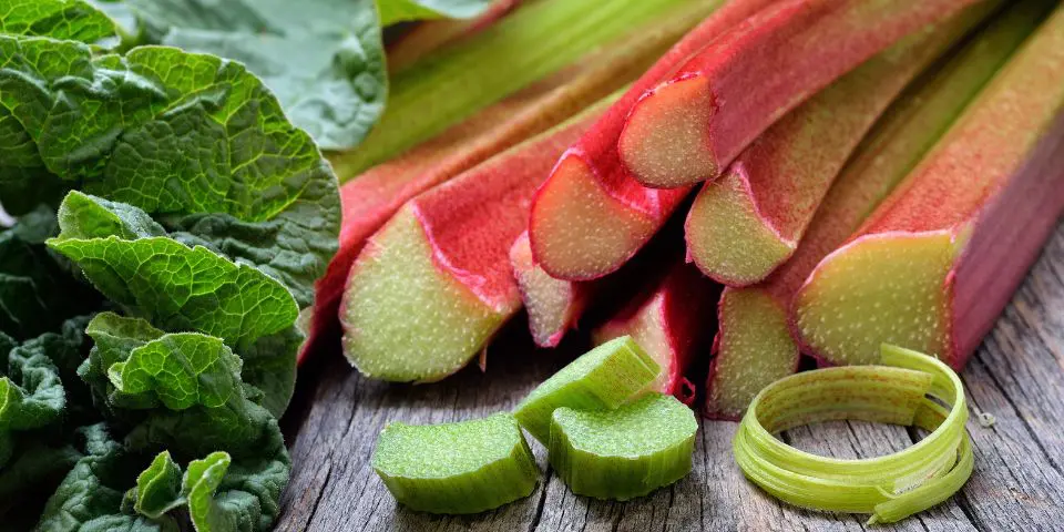 морским свинкам нельзя давать ревень