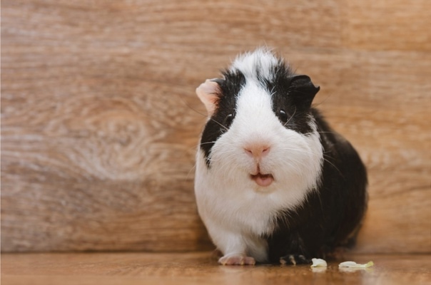 Обложка статьи