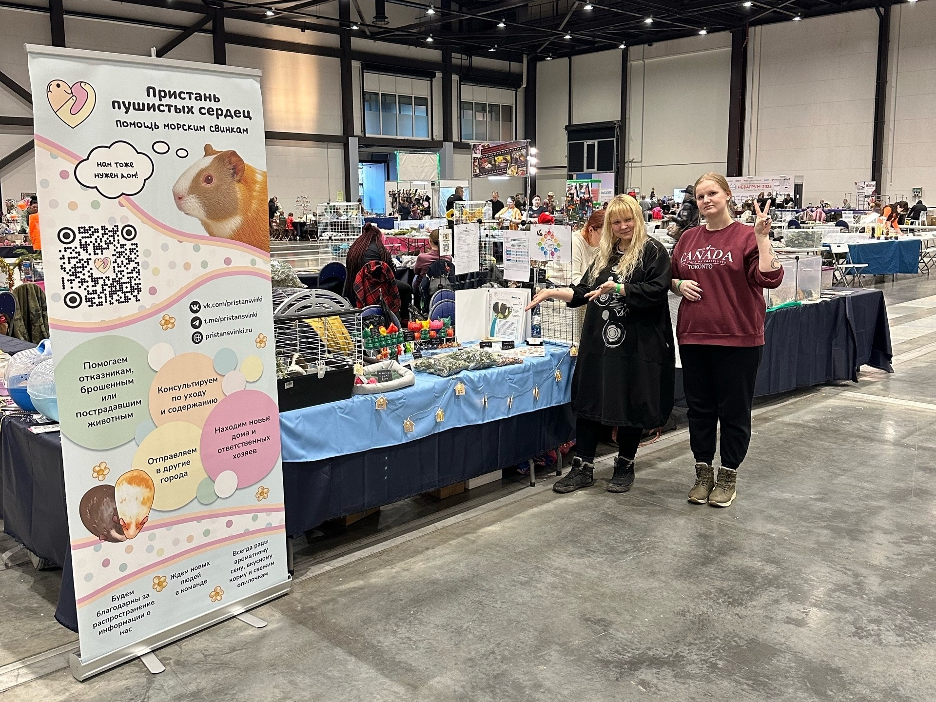 Волонтеры Пристани пушистых сердец на выставке с морскими свинками