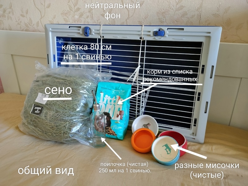 Обложка статьи