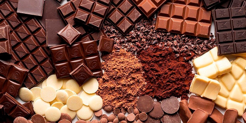 шоколад опасен для морских свинок