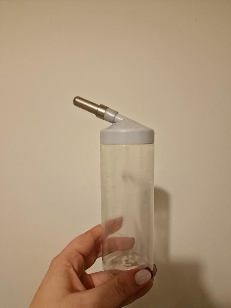 моем поилку для морской свинки