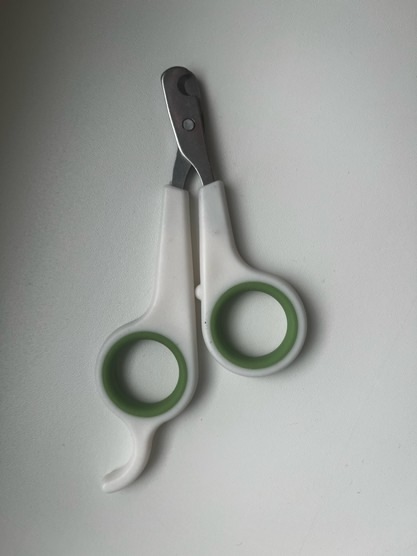 Когтерезка для стрижки когтей морской свинки