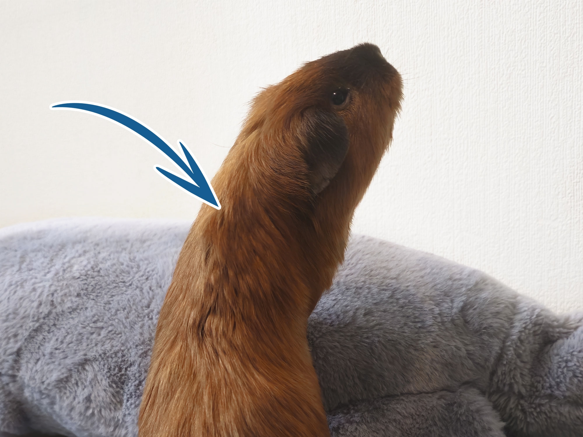 Обложка статьи