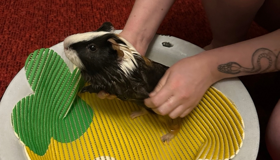 Обложка статьи