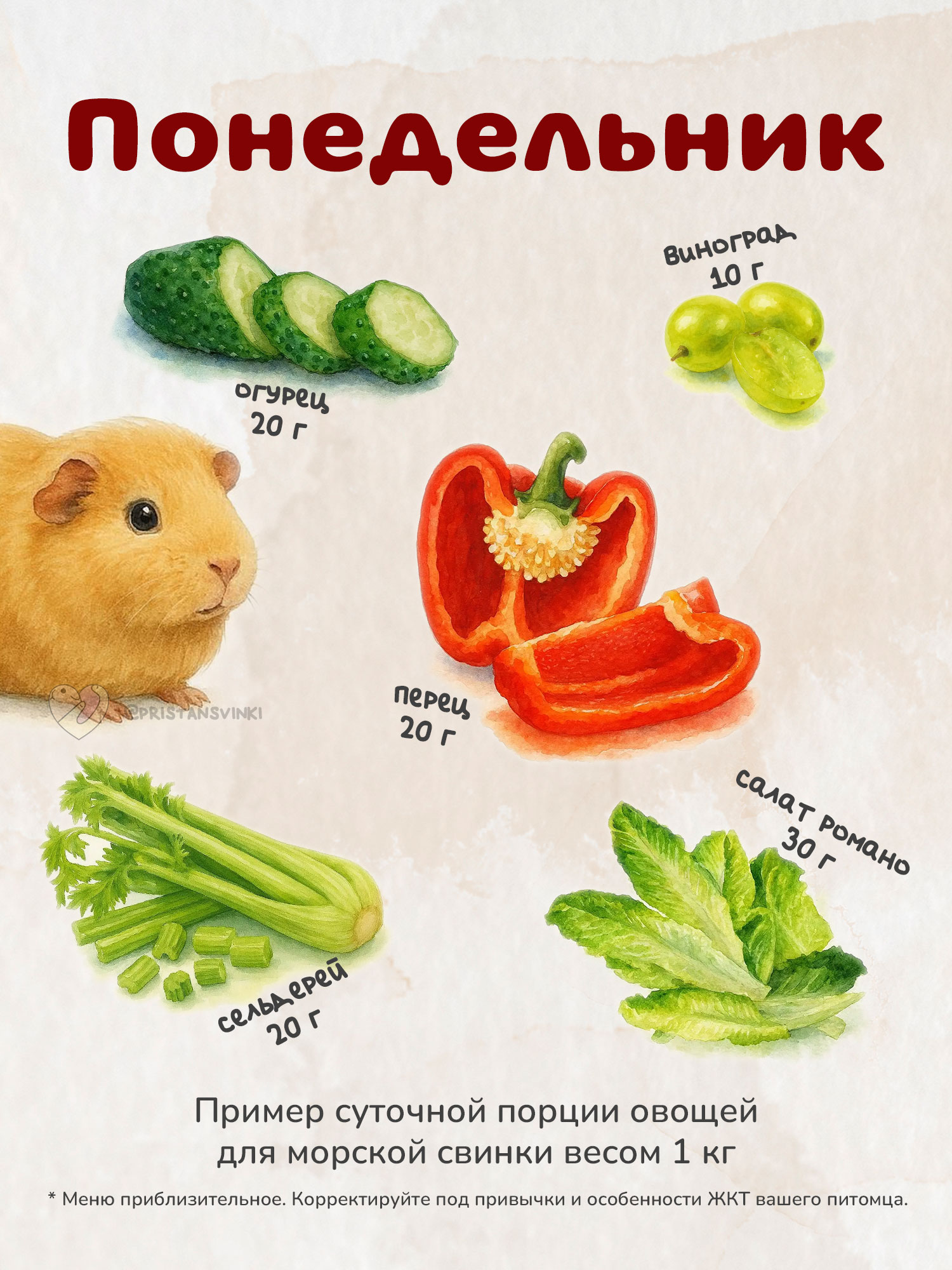 Примерный план питания сочными продуктами для морской свинки на понедельник: перец, огурец, виноград, сельдерей, салат романо