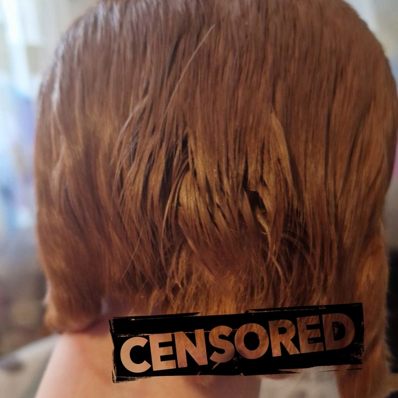 чистка сальной железы у морской свинки