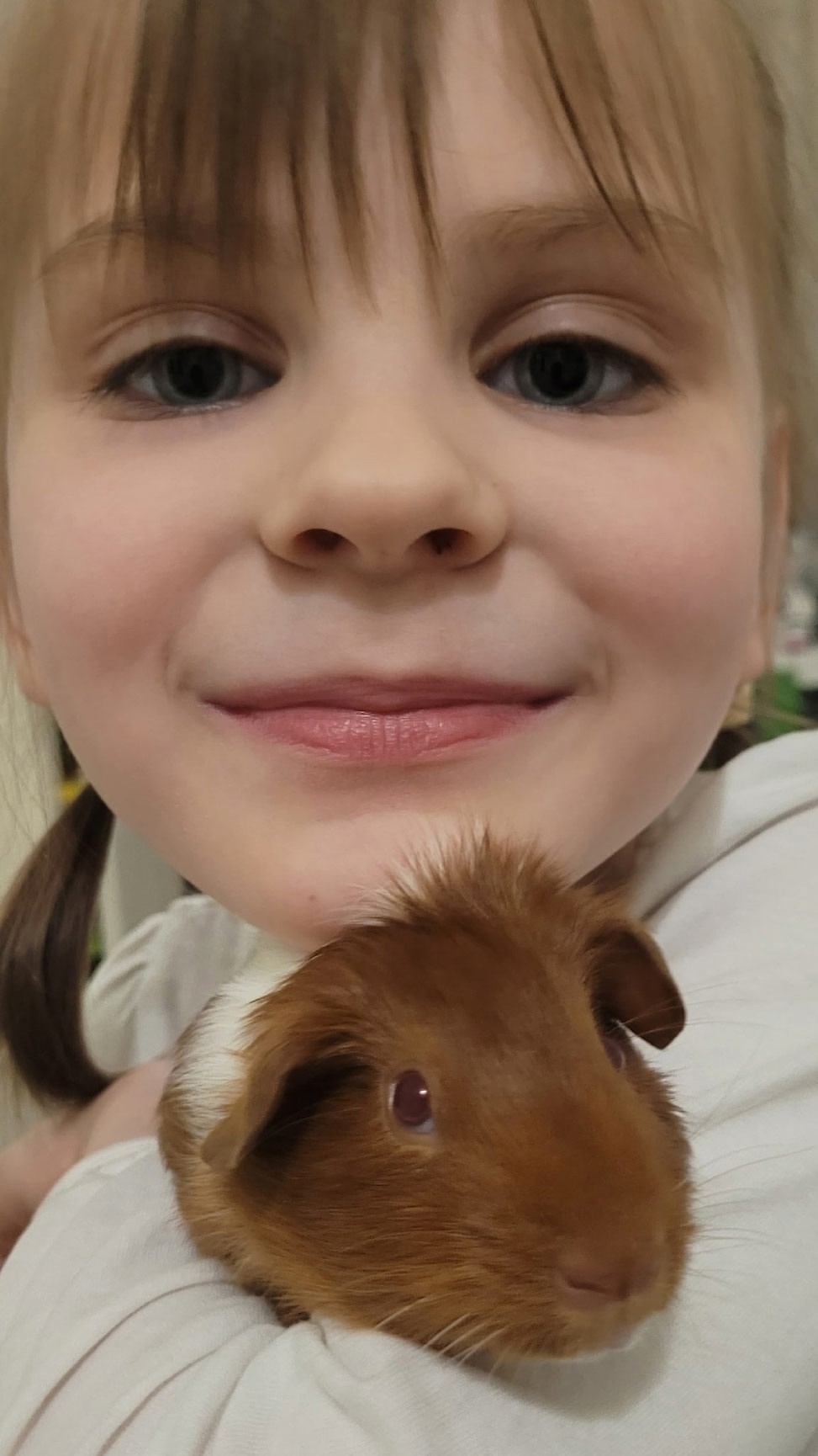 девочка с морской свинкой