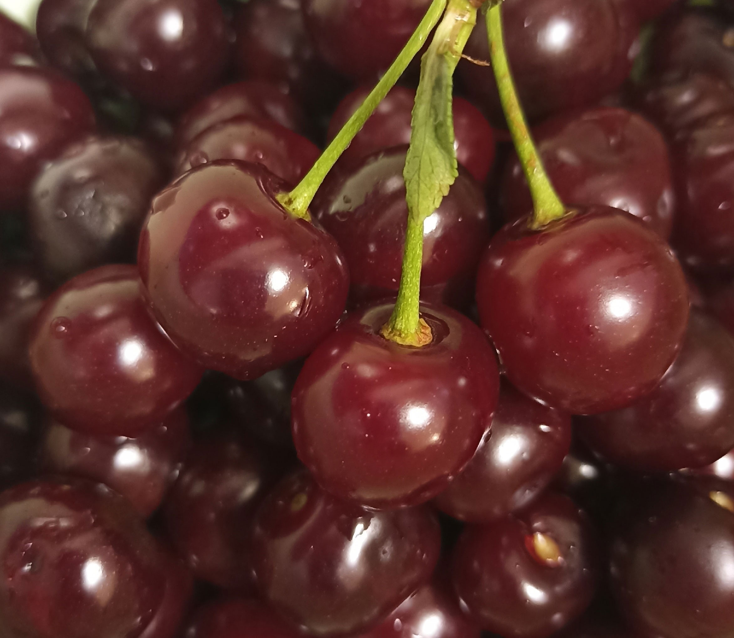 Обложка продукта Вишня
