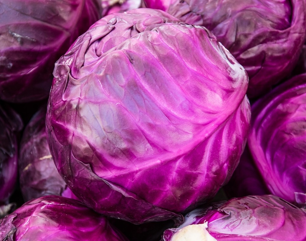 Обложка продукта Капуста краснокочанная