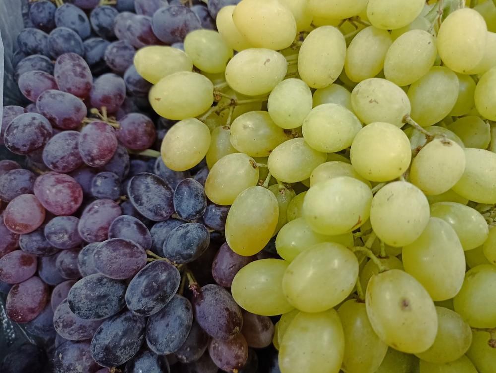 Обложка продукта Виноград