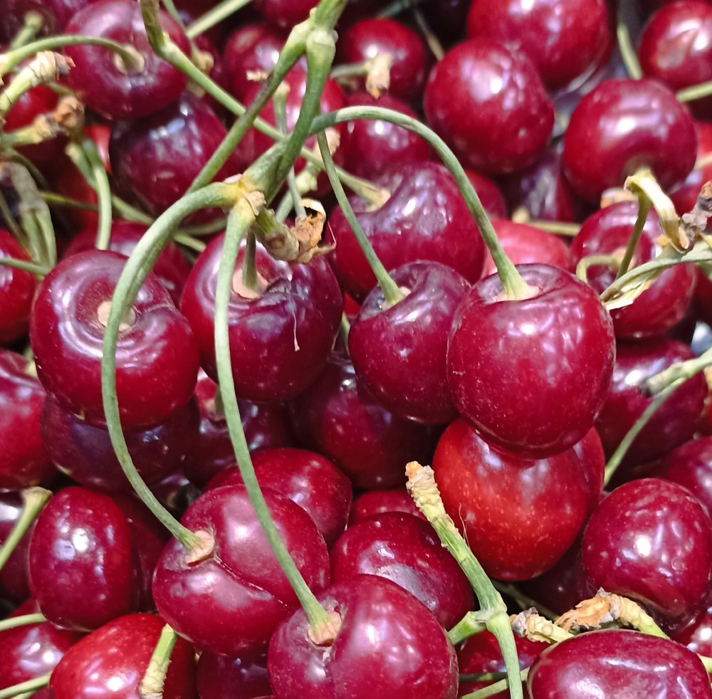 Обложка продукта Черешня