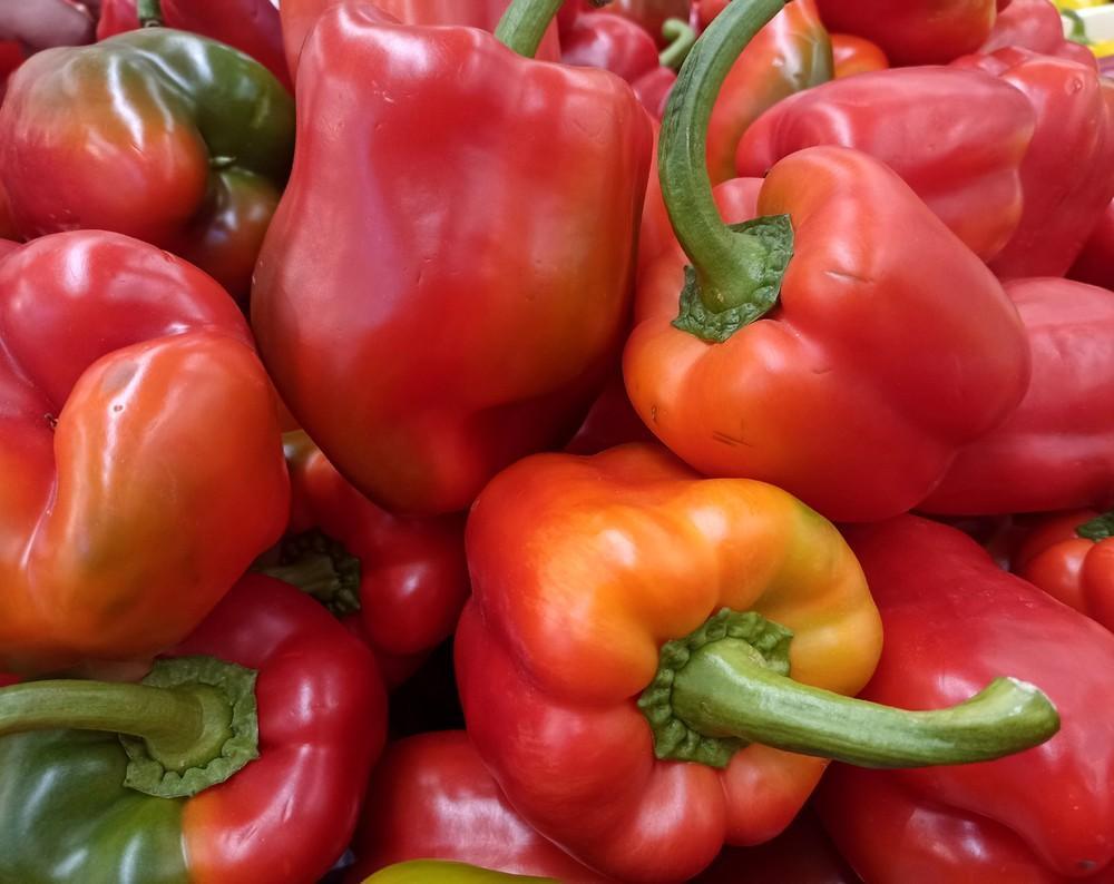 Обложка продукта Болгарский перец