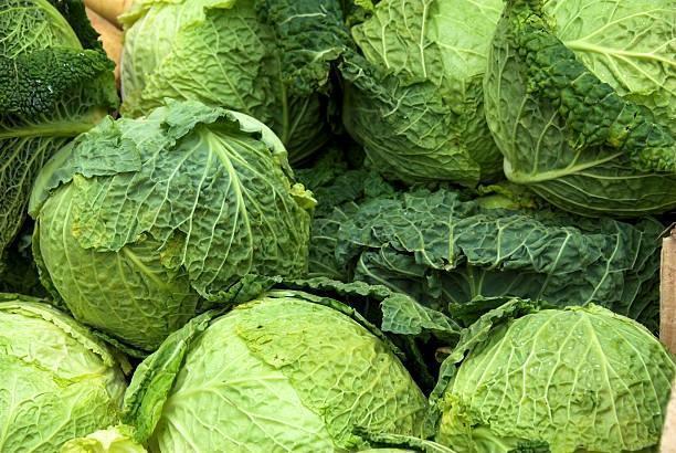 Обложка продукта Савойская капуста