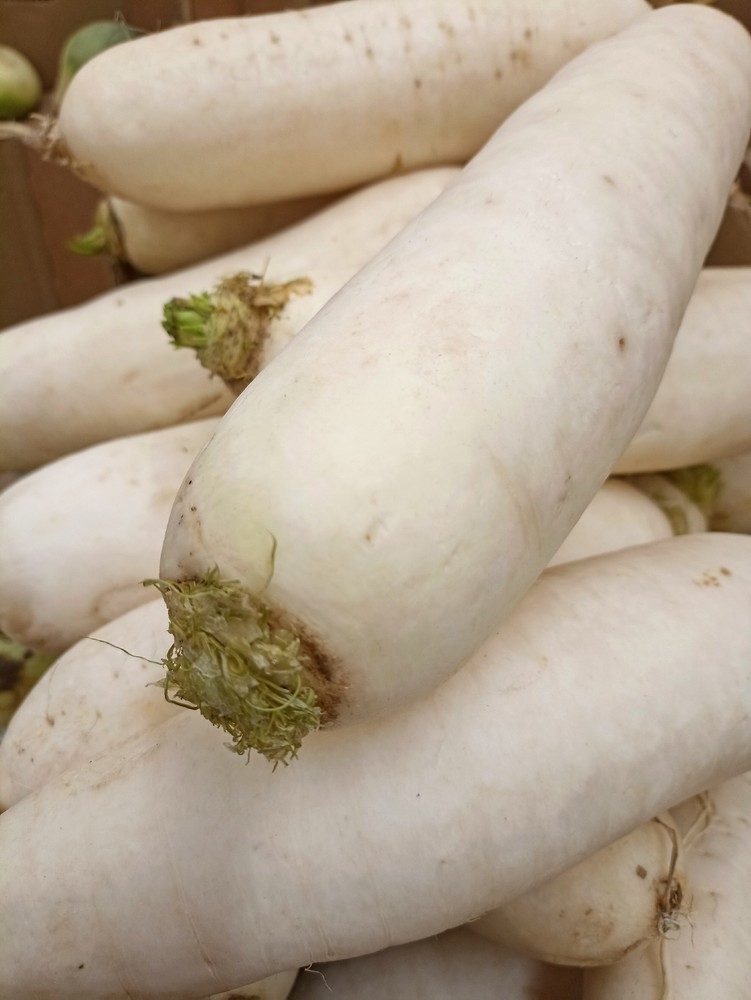 Обложка продукта Дайкон